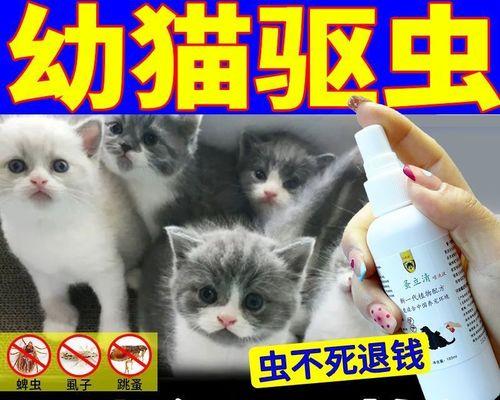 猫咪驱虫后呕吐（宠物健康需及时关注）