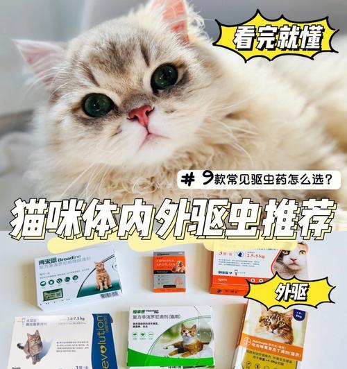 如何正确为宠物猫咪外驱虫（注意事项和方法）