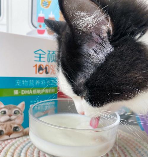 猫咪喜欢喝牛奶怎么办（解决猫咪喝牛奶问题的实用方法）