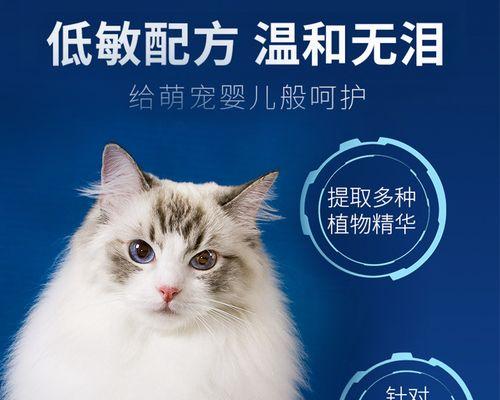 猫咪洗澡后发抖没精神（宠物猫咪洗澡后为什么会出现发抖没精神的情况）