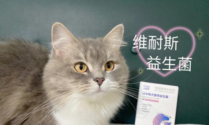 宠物猫需要每天摄取益生菌（为什么宠物猫需要摄取益生菌）