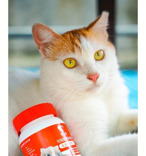 猫咪吃复合维生素的正确方式（宠物健康必备）