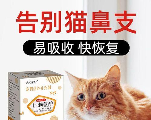 猫咪口鼻流血怎么办（为你的宠物提供正确的急救和护理）