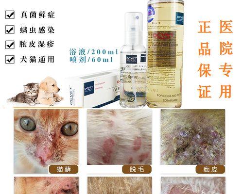拯救宠物皮肤的秘密——猫咪螨虫皮肤病的治疗方法（以爱之名）