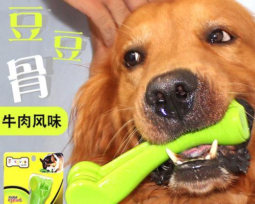 如何控制幼犬以磨牙棒的食量（掌握幼犬磨牙棒的喂食技巧）