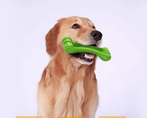 如何控制幼犬以磨牙棒的食量（掌握幼犬磨牙棒的喂食技巧）