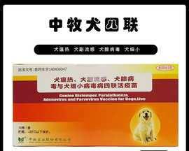 犬五联疫苗进口价格详解