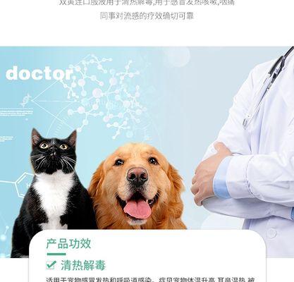 犬瘟狗咳嗽的药物治疗方法（保护宠物健康）