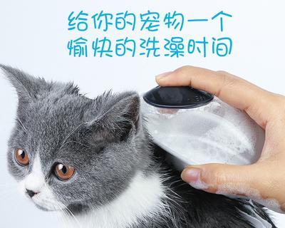 夏天猫咪洗澡注意事项（宠物主人必读）