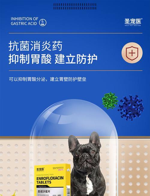 小狗尿路感染治疗方法（宠物健康不容忽视——小狗尿路感染的预防和治疗）
