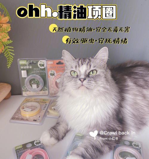 猫咪驱虫项圈解析（宠物驱虫必备）