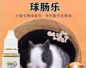 猫咪驱虫药拉肚子的原因与预防方法（宠物家长必看）