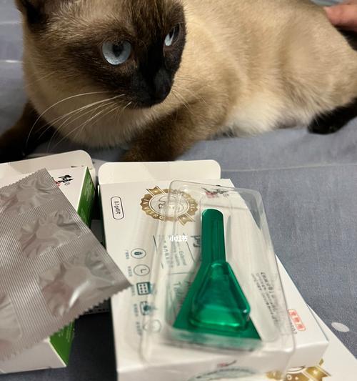 小心猫咪驱虫药过量喂养（如何正确使用驱虫药避免对猫咪的危害）