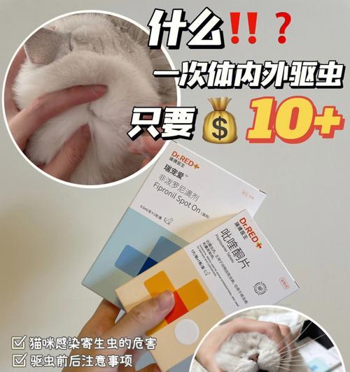 猫咪驱虫药，一次吃几个合适（宠物健康保护）