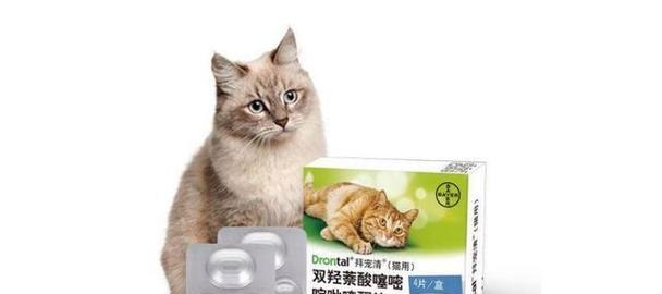 以猫咪驱虫伊维菌素为主题的使用指南（保护宠物健康）