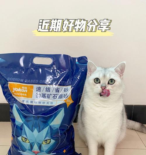猫砂使用指南——让你的猫咪爱上干净卫生的厕所（从选购到使用）