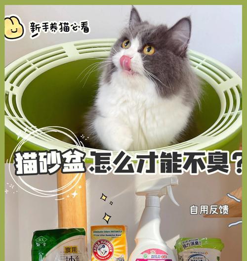 从猫咪只尿不拉的现象谈起（探究猫咪只在砂盆里尿不拉的原因与解决方法）