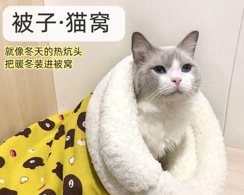 揭秘猫咪上厕所的频率（你知道吗）