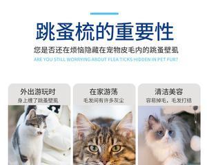 猫咪身上有活虱子怎么办（宠物养护必知）