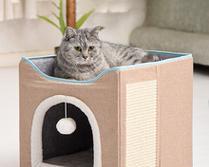 如何为猫咪打造舒适的产窝（从空间大小到材料选择）