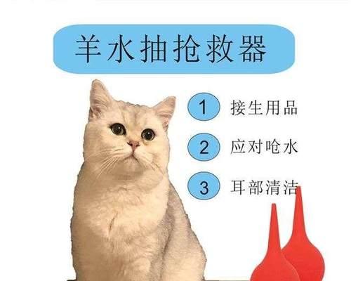猫咪生产用管的使用方法与注意事项（以宠物为主的安全生产）