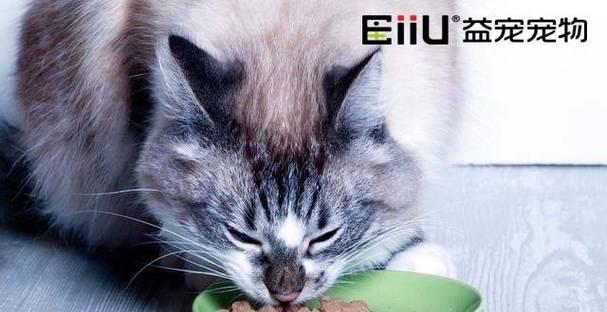 猫咪食物过敏源大排行（了解宠物的敏感胃）