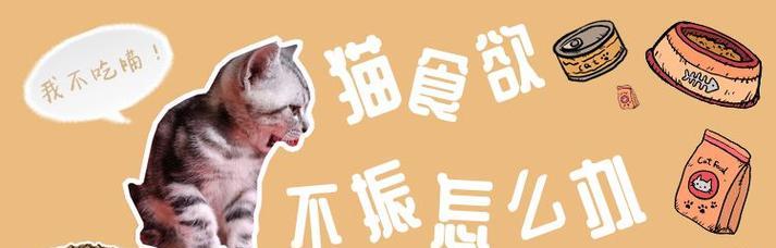 猫咪食欲正常的原因（探究宠物猫咪的饮食习惯与健康）