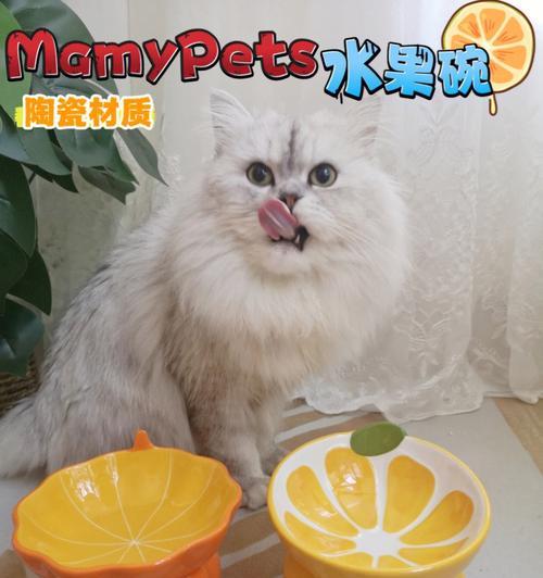猫咪的水果食谱（打破传统）