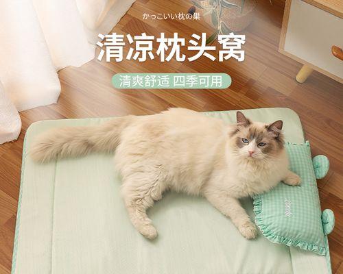 猫咪受伤了，为什么不回窝里（探究猫咪受伤后行为变化的原因）