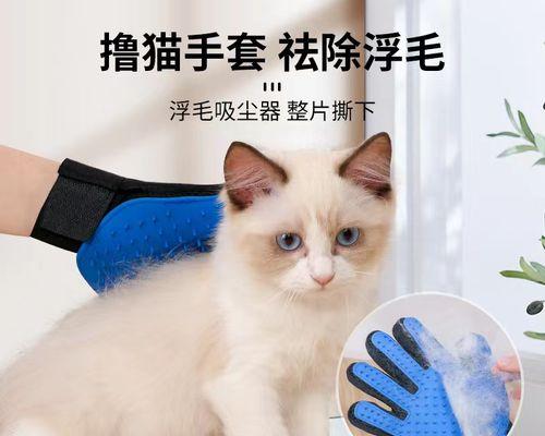 如何清洗猫咪梳子（以宠物为主的梳子清洗技巧）