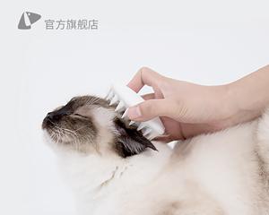 如何清洗猫咪梳子（以宠物为主的梳子清洗技巧）