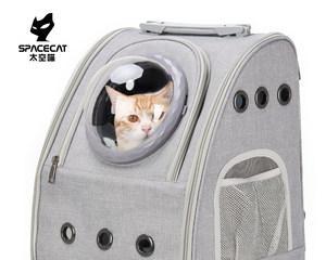 猫咪太空舱（为何猫咪太空舱越来越受欢迎）