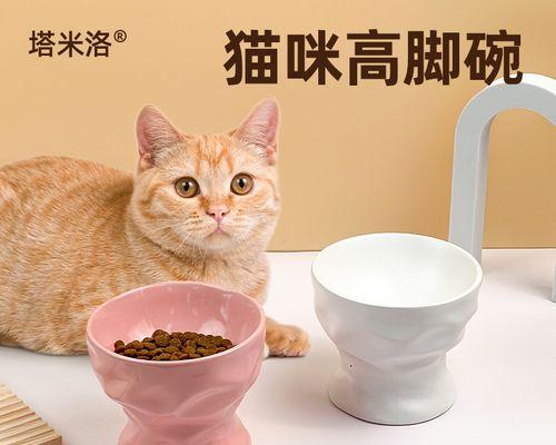 猫咪护颈神器——陶瓷碗（让宠物更健康）