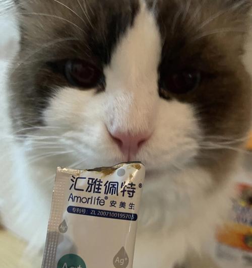 揭秘营养膏成为猫咪心头好的原因（探究猫咪为什么特别爱吃营养膏）