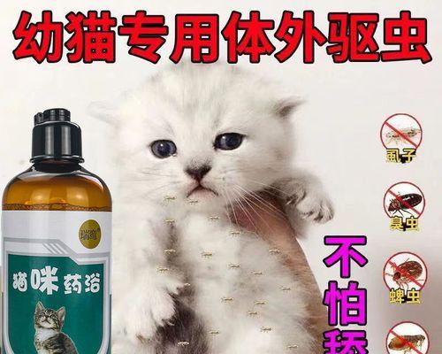 猫咪体内除虫需要多久（宠物养护必知——猫咪体内除虫时间表）