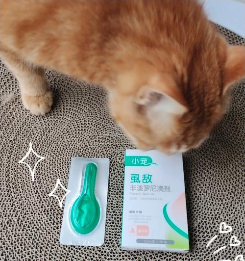 猫咪驱虫后何时可以食用化毛膏（为了宠物健康）