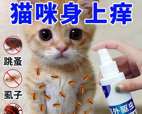 如何正确使用猫咪驱虫药物（以猫咪体内驱虫药用量为主题）