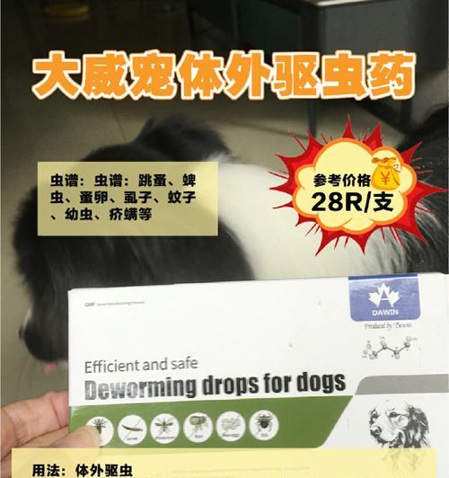 猫咪体外驱虫药使用全解析（了解猫咪驱虫药的使用方法）