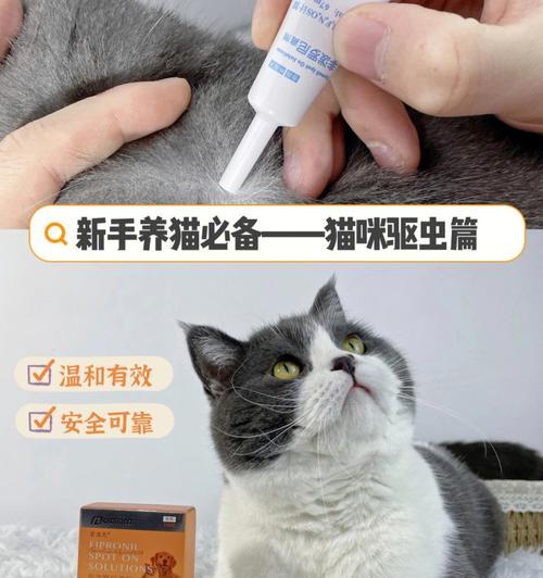 如何选择适合猫咪的体外驱虫药（宠物健康保护的必需品）