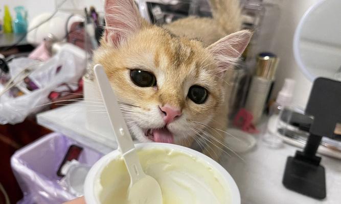 猫咪舔酸奶流眼泪的原因剖析（揭秘宠物喝酸奶引发的健康问题和生理反应）