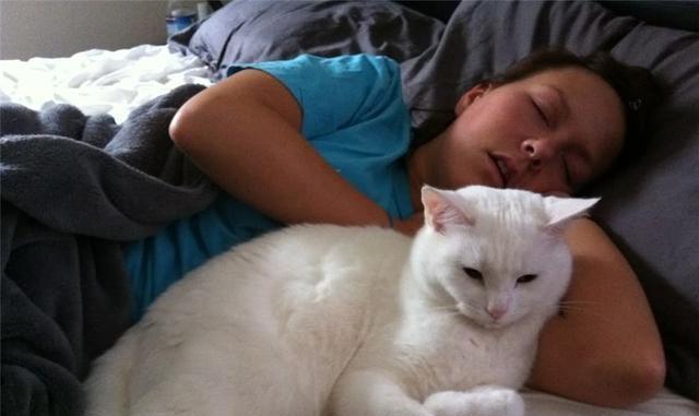 宠物猫突然嗜睡，你需要知道的原因和处理方法（如何判断猫咪突然嗜睡的原因）