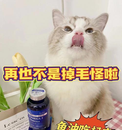 猫咪土霉素和蒙脱石散（宠物的抗生素治疗与消化系统保健）