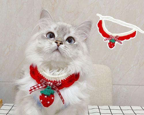 如何以猫咪玩毛线画制作可爱宠物（15个段落教你如何成为宠物毛线画达人）