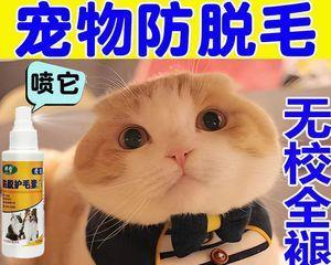 掉毛的猫咪（从泡泡的掉毛谈起）