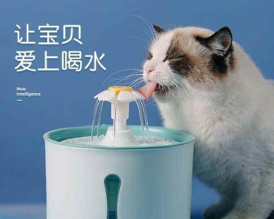 揭秘猫咪为何会对着空气喝水（探究猫咪喝水的行为习惯与健康风险）