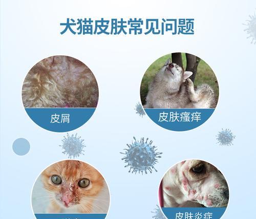 探究猫咪螨虫感染的原因（揭秘螨虫的类型与繁殖方式）