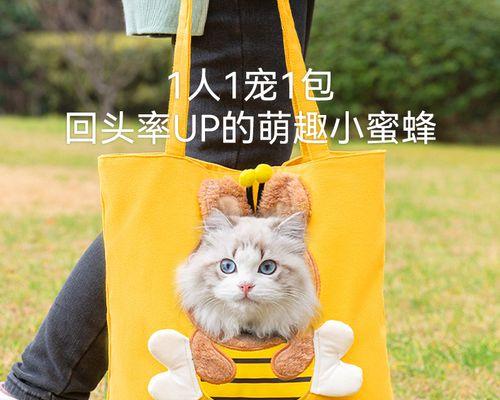 猫咪为什么总是喜欢和狗玩（探讨猫咪和狗的友谊）