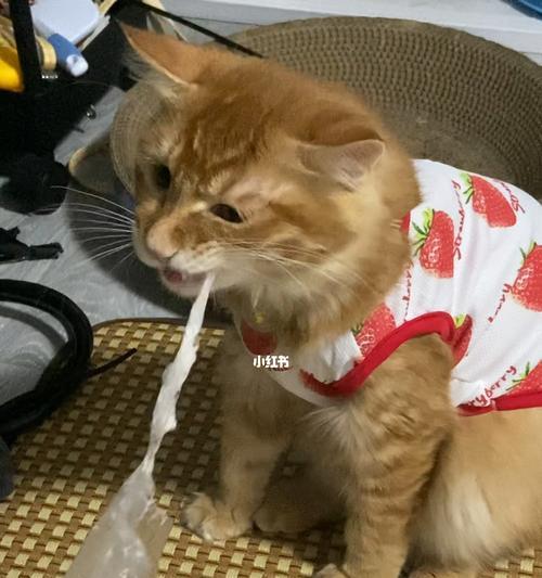 为什么猫咪喜欢塑料袋（探究猫咪心理和本能的背后原因）