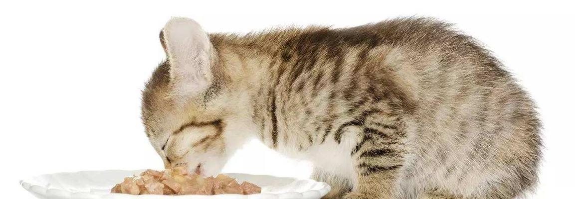 从小可爱到大能吃——为什么猫咪越来越能吃（探究猫咪饮食习惯的变化与原因）