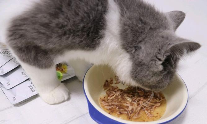 从小可爱到大能吃——为什么猫咪越来越能吃（探究猫咪饮食习惯的变化与原因）